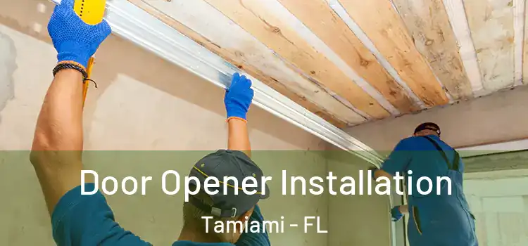 Door Opener Installation Tamiami - FL