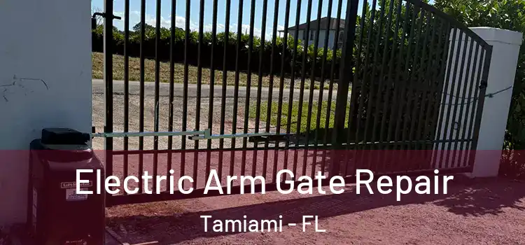 Electric Arm Gate Repair Tamiami - FL