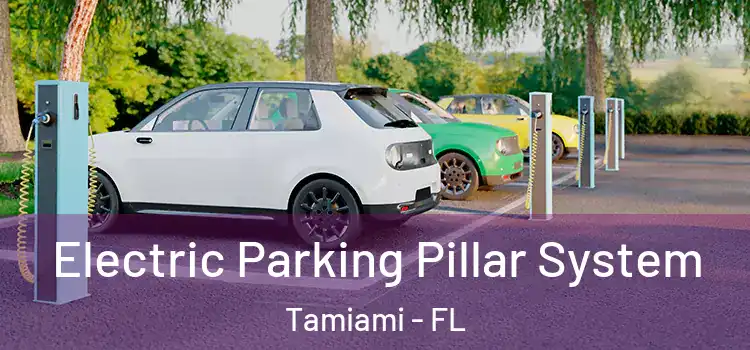Electric Parking Pillar System Tamiami - FL