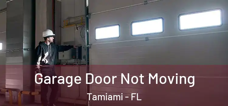  Garage Door Not Moving Tamiami - FL
