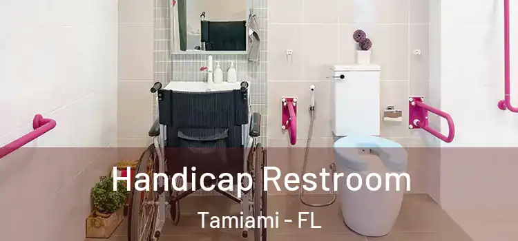 Handicap Restroom Tamiami - FL