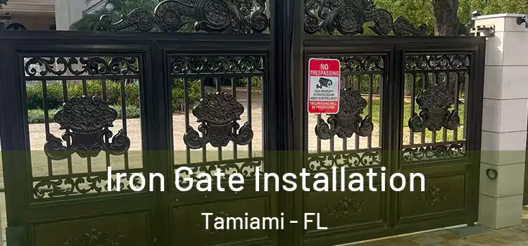 Iron Gate Installation Tamiami - FL