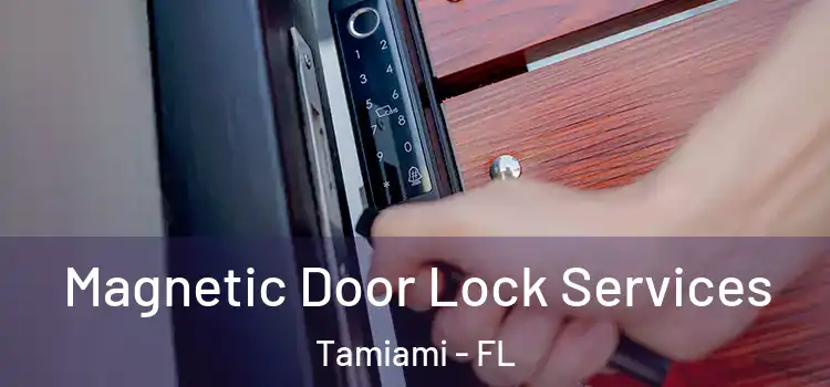 Magnetic Door Lock Services Tamiami - FL