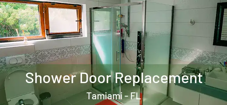 Shower Door Replacement Tamiami - FL