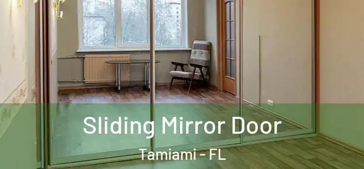  Sliding Mirror Door Tamiami - FL